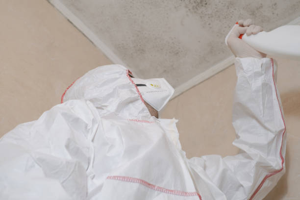 Best Commercial Mold Removal  in Ocean Pointe, HI
