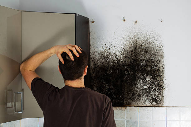 Best Mold Cleaning Services  in Ocean Pointe, HI